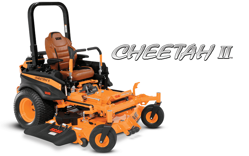 Cheetah II